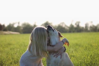 Illustration de l'article : Journée mondiale du chien : 5 raisons pour lesquelles le chien est le meilleur ami de l'Homme