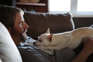 Illustration de l'article : Spotify propose des contenus audio pour divertir et relaxer votre chien en musique