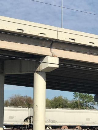 Illustration de l'article : Pendant 6 heures, des sauveteurs ont tenté de sauver ce chat coincé sur le pont d'une autoroute