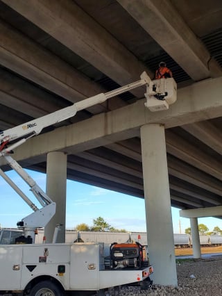 Illustration de l'article : Pendant 6 heures, des sauveteurs ont tenté de sauver ce chat coincé sur le pont d'une autoroute