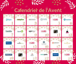 Illustration de l'article : L'I-CAD lance son premier calendrier de l'Avent pour gâter les propriétaires et leurs animaux