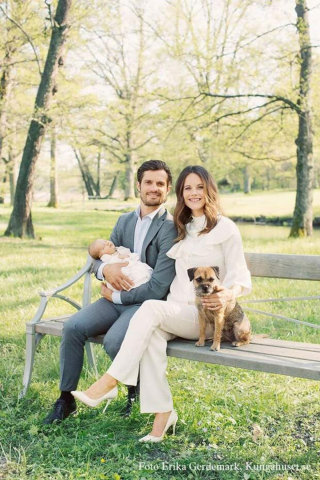 Illustration de l'article : En cherchant les propriétaires d'un Border Terrier errant, elle apprend qu'il appartient au prince Carl Philip de Suède et son épouse