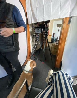 Illustration de l'article : L'actrice Florence Pugh emmène son chien adoptif sur le plateau de tournage de son prochain film