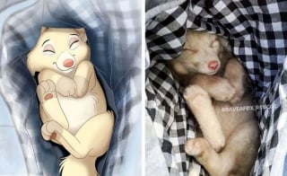 Illustration de l'article : 11 photos d'animaux de compagnie transformés en adorables personnages Disney