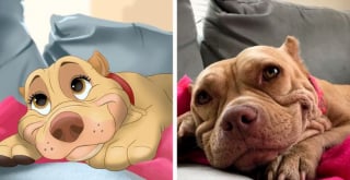 Illustration de l'article : 11 photos d'animaux de compagnie transformés en adorables personnages Disney