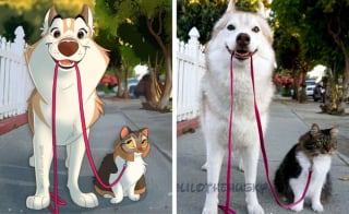 Illustration de l'article : 11 photos d'animaux de compagnie transformés en adorables personnages Disney