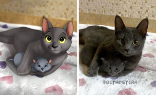 Illustration de l'article : 11 photos d'animaux de compagnie transformés en adorables personnages Disney