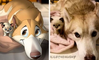 Illustration de l'article : 11 photos d'animaux de compagnie transformés en adorables personnages Disney