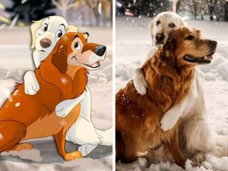 Illustration de l'article : 11 photos d'animaux de compagnie transformés en adorables personnages Disney