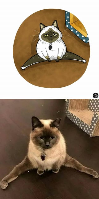 Illustration de l'article : 20 photos de chats transformées en illustrations comiques