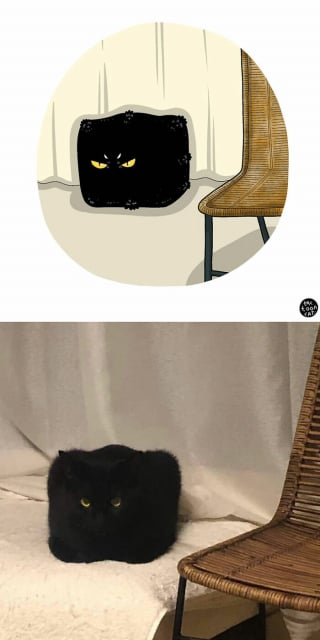 Illustration de l'article : 20 photos de chats transformées en illustrations comiques