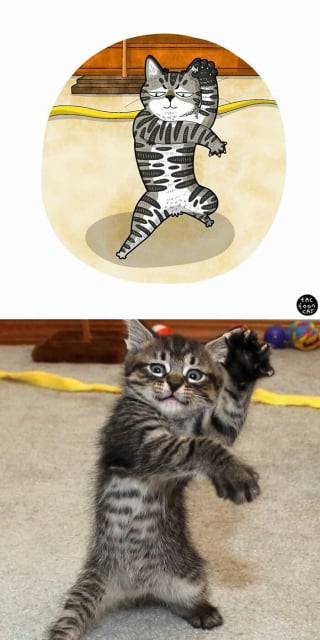 Illustration de l'article : 20 photos de chats transformées en illustrations comiques