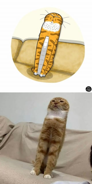 Illustration de l'article : 20 photos de chats transformées en illustrations comiques