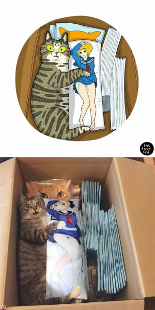 Illustration de l'article : 20 photos de chats transformées en illustrations comiques