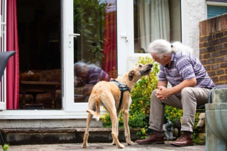 Illustration de l'article : Le nouvel espoir d'une vie meilleure pour un chien retrouvé attaché à un lampadaire avec une patte cassée