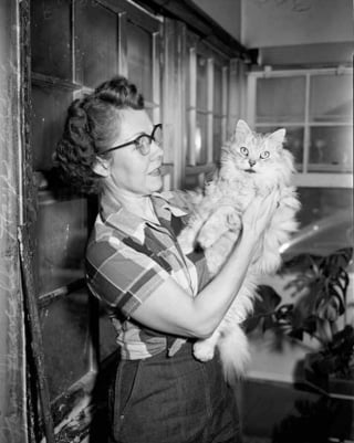 Illustration de l'article : 16 photos vintage immortalisant la beauté des chats