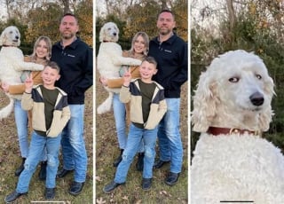 Illustration de l'article : 13 chiens qui ont décidé de ruiner les photos de famille le jour de Noël !