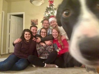 Illustration de l'article : 13 chiens qui ont décidé de ruiner les photos de famille le jour de Noël !