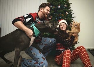 Illustration de l'article : 13 chiens qui ont décidé de ruiner les photos de famille le jour de Noël !