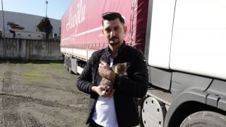 Illustration de l'article : Un routier tisse un lien unique avec un chaton abandonné, qui devient son compagnon de voyage