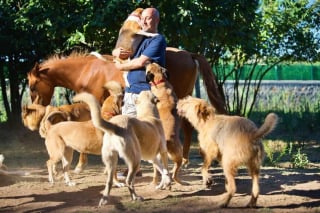 Illustration de l'article : Un homme achète une ferme et la transforme en sanctuaire pour animaux errants, malades et handicapés