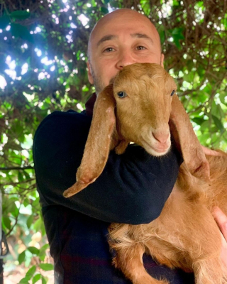 Illustration de l'article : Un homme achète une ferme et la transforme en sanctuaire pour animaux errants, malades et handicapés