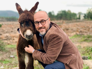 Illustration de l'article : Un homme achète une ferme et la transforme en sanctuaire pour animaux errants, malades et handicapés