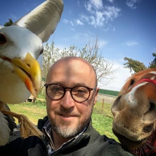 Illustration de l'article : Un homme achète une ferme et la transforme en sanctuaire pour animaux errants, malades et handicapés