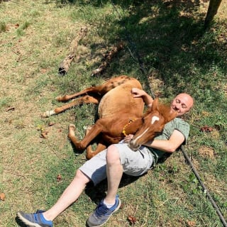 Illustration de l'article : Un homme achète une ferme et la transforme en sanctuaire pour animaux errants, malades et handicapés