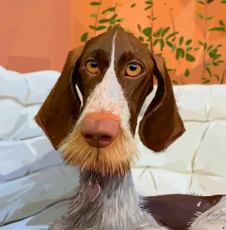 Illustration de l'article : 20 chiens charismatiques qui ont inspiré un caricaturiste