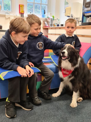 Illustration de l'article : Ces enfants reçoivent la visite d'un chien de thérapie qui les soutient dans leur apprentissage de la lecture