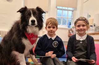 Illustration de l'article : Ces enfants reçoivent la visite d'un chien de thérapie qui les soutient dans leur apprentissage de la lecture