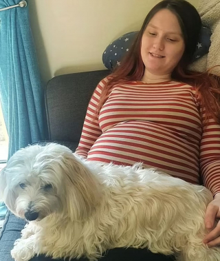 Illustration de l'article : Une femme de 24 ans est la première au Royaume-Uni à avoir accouché à l'hôpital avec son chien d'assistance 