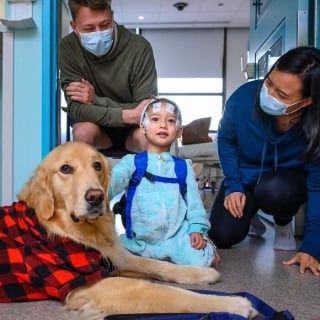 Illustration de l'article : 10 photos émouvantes de chiens ayant rendu visite aux enfants dans les hôpitaux pendant Noël