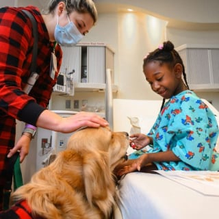 Illustration de l'article : 10 photos émouvantes de chiens ayant rendu visite aux enfants dans les hôpitaux pendant Noël