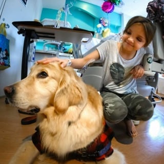 Illustration de l'article : 10 photos émouvantes de chiens ayant rendu visite aux enfants dans les hôpitaux pendant Noël