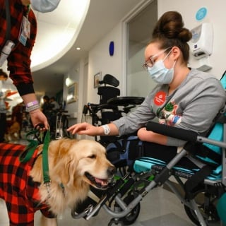 Illustration de l'article : 10 photos émouvantes de chiens ayant rendu visite aux enfants dans les hôpitaux pendant Noël