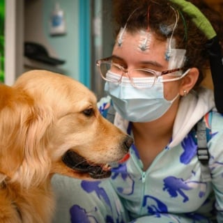 Illustration de l'article : 10 photos émouvantes de chiens ayant rendu visite aux enfants dans les hôpitaux pendant Noël