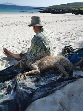 Illustration de l'article : L'histoire bouleversante d'un chien aveugle battu par son ancien propriétaire, découvrant la plage pour la première fois