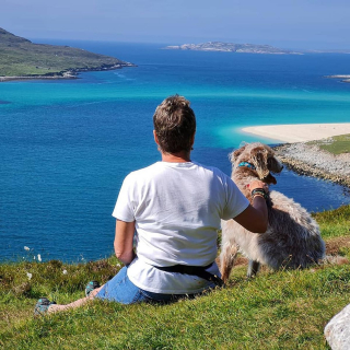 Illustration de l'article : L'histoire bouleversante d'un chien aveugle battu par son ancien propriétaire, découvrant la plage pour la première fois