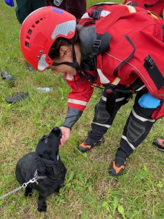 Illustration de l'article : Un chien court chercher de l'aide pour sauver sa propriétaire coincée dans la boue