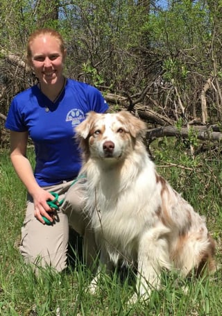 Illustration de l'article : Un chien de la brigade canine met à profit ses compétences pour retrouver un adolescent