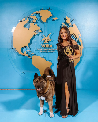 Illustration de l'article : La star des réseaux sociaux, Malcolm The Akita, récompensé au World Influencers and Bloggers Awards