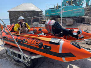 Illustration de l'article : Des gardes-côtes lancent une mission pour retrouver un chien perdu en pleine mer (vidéo)