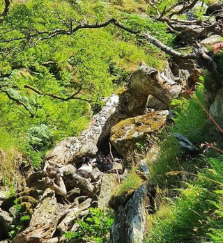 Illustration de l'article : Des drones survolent la montagne pour retrouver un chien de berger disparu depuis plusieurs jours