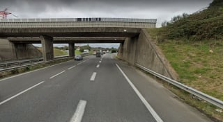 Illustration de l'article : Un chien traîné à l’arrière d’une voiture puis abandonné sur le périphérique, le conducteur recherché par la police