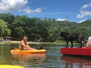 Illustration de l'article : Un homme achète et rénove un chalet dans la nature pour assurer la meilleure retraite possible à son chien