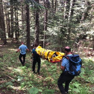 Illustration de l'article : Une unité de gendarmerie se mobilise pour secourir un Saint-Bernard victime d'une chute de 10 mètres en montagne