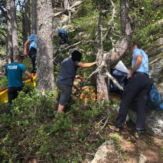 Illustration de l'article : Une unité de gendarmerie se mobilise pour secourir un Saint-Bernard victime d'une chute de 10 mètres en montagne