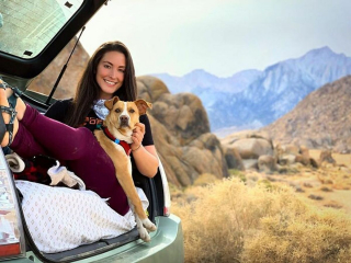 Illustration de l'article : 20 photos d'un chien heureux de voyager avec la femme qui l'a adopté